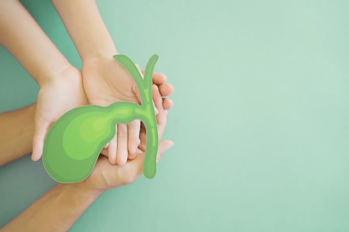 Холестаз: причины, симптомы и профилактика